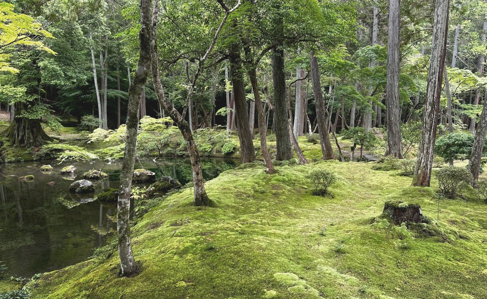 Mathieson Japan Landscapes 02