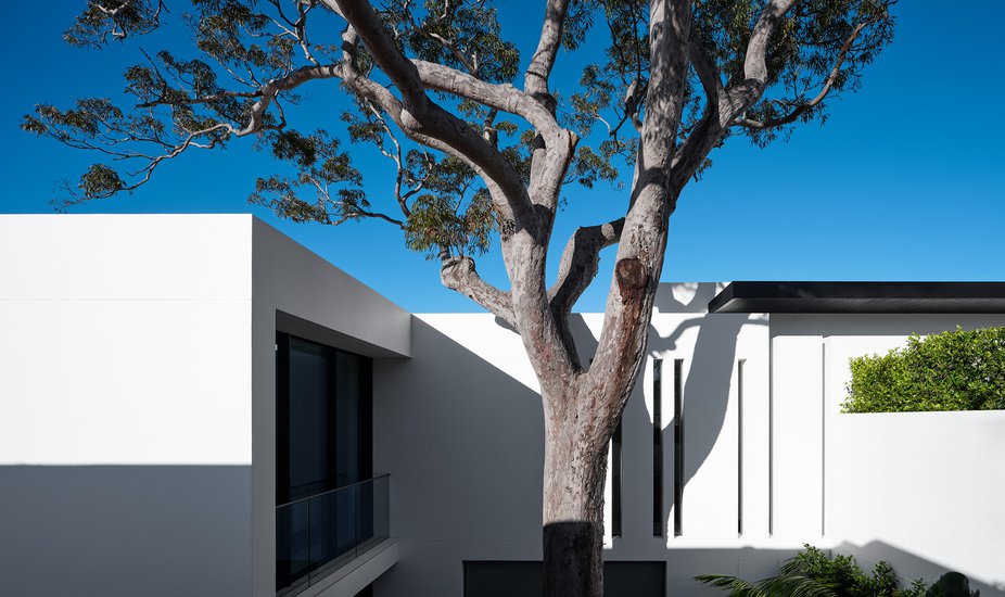 Mathieson Mosman House 01