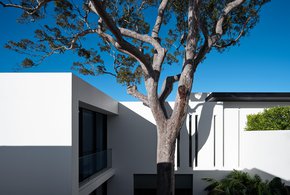 Mathieson Mosman House 01